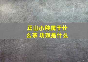 正山小种属于什么茶 功效是什么